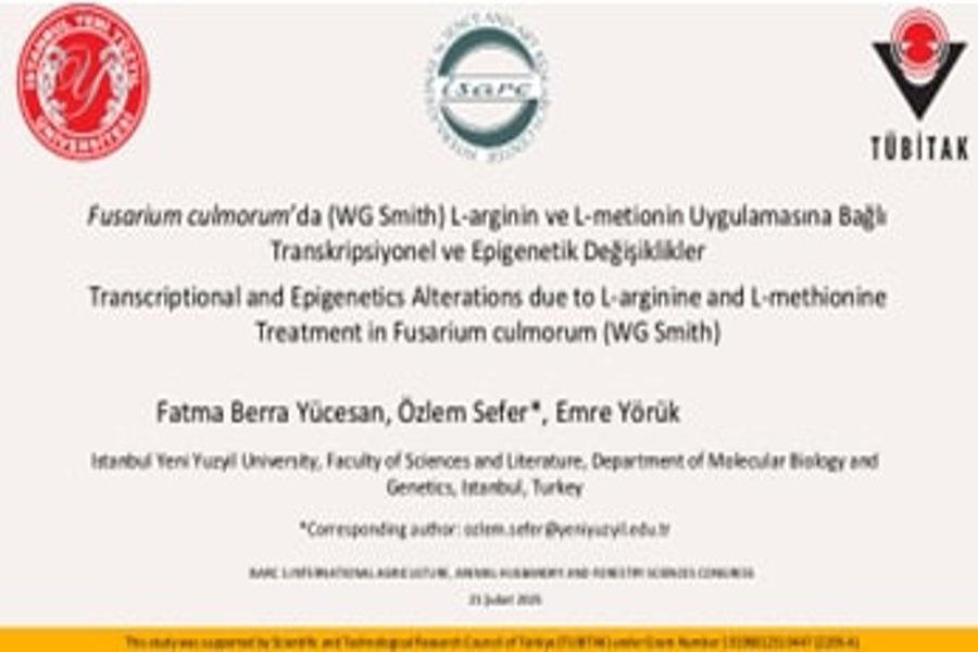 https://cmsapi.yeniyuzyil.edu.tr/news-media/big/8da70ca2-d7ee-4595-8e66-44d1cd356e2cResim5.jpg