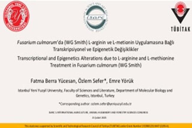 https://cmsapi.yeniyuzyil.edu.tr/news-media/big/8da70ca2-d7ee-4595-8e66-44d1cd356e2cResim5.jpg
