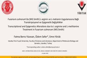 https://cmsapi.yeniyuzyil.edu.tr/news-media/thumb/8da70ca2-d7ee-4595-8e66-44d1cd356e2cResim5.jpg