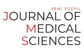 https://content.yeniyuzyil.edu.tr//upload/haber/2020/3724//banner/0fbe4ae7360.jpg
