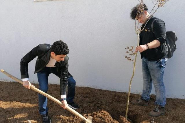 https://content.yeniyuzyil.edu.tr/upload/galeri/2019/3403/big/6.jpg